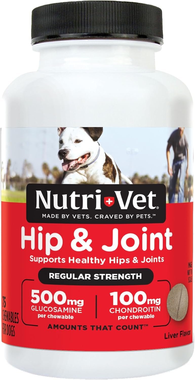 Nutri-Vet Hip & Joint Regular Strength Chewable Dog Supplements, Formulated with Glucosamine Chondroitin and MSM, Pet Supplies, Joint Supplement for Dogs, Puppy Essentials, 75 Count