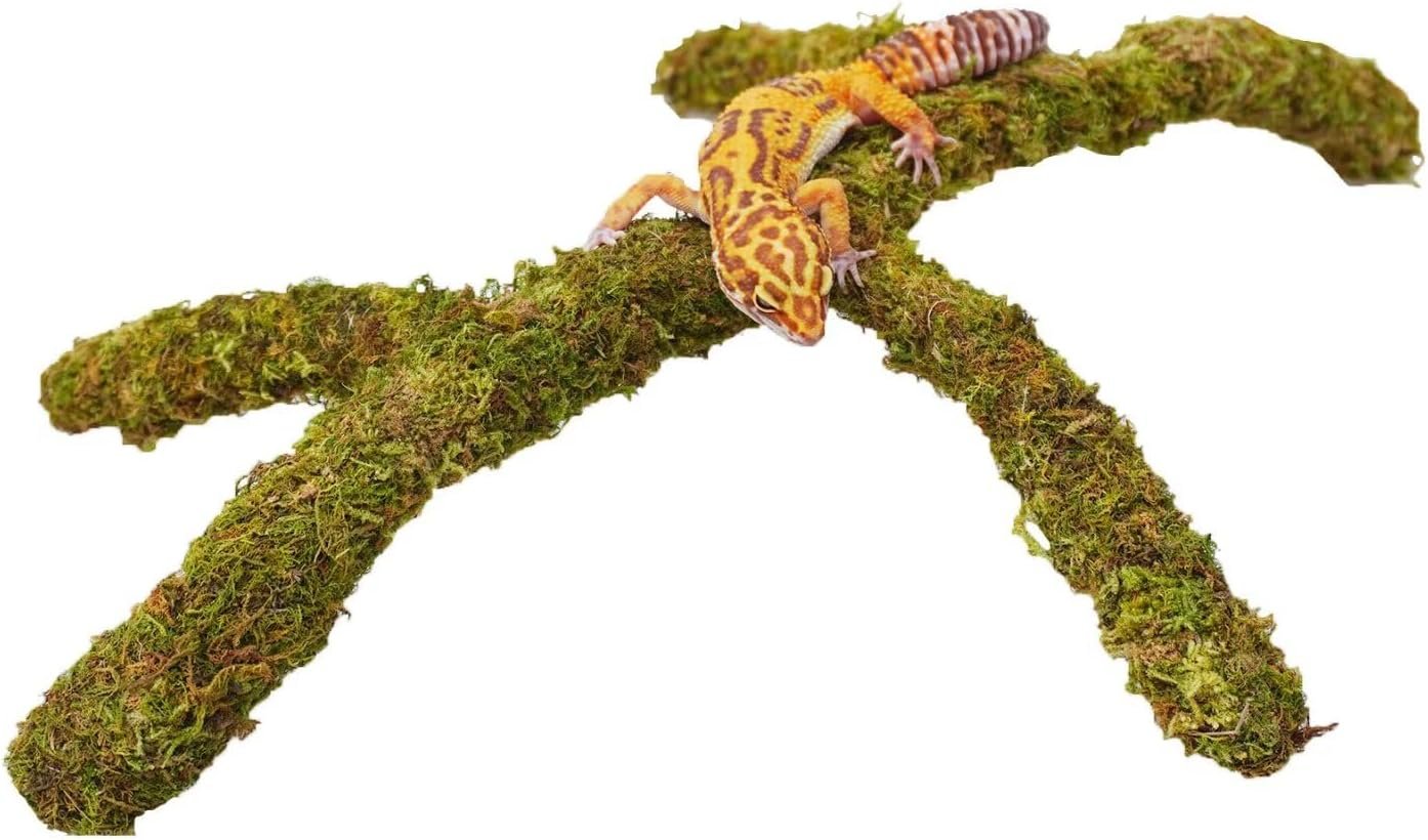 Leopard Gecko Tank Accessories, Adjustable Climbing Toys Supplies, Terrarium Habitat Decor