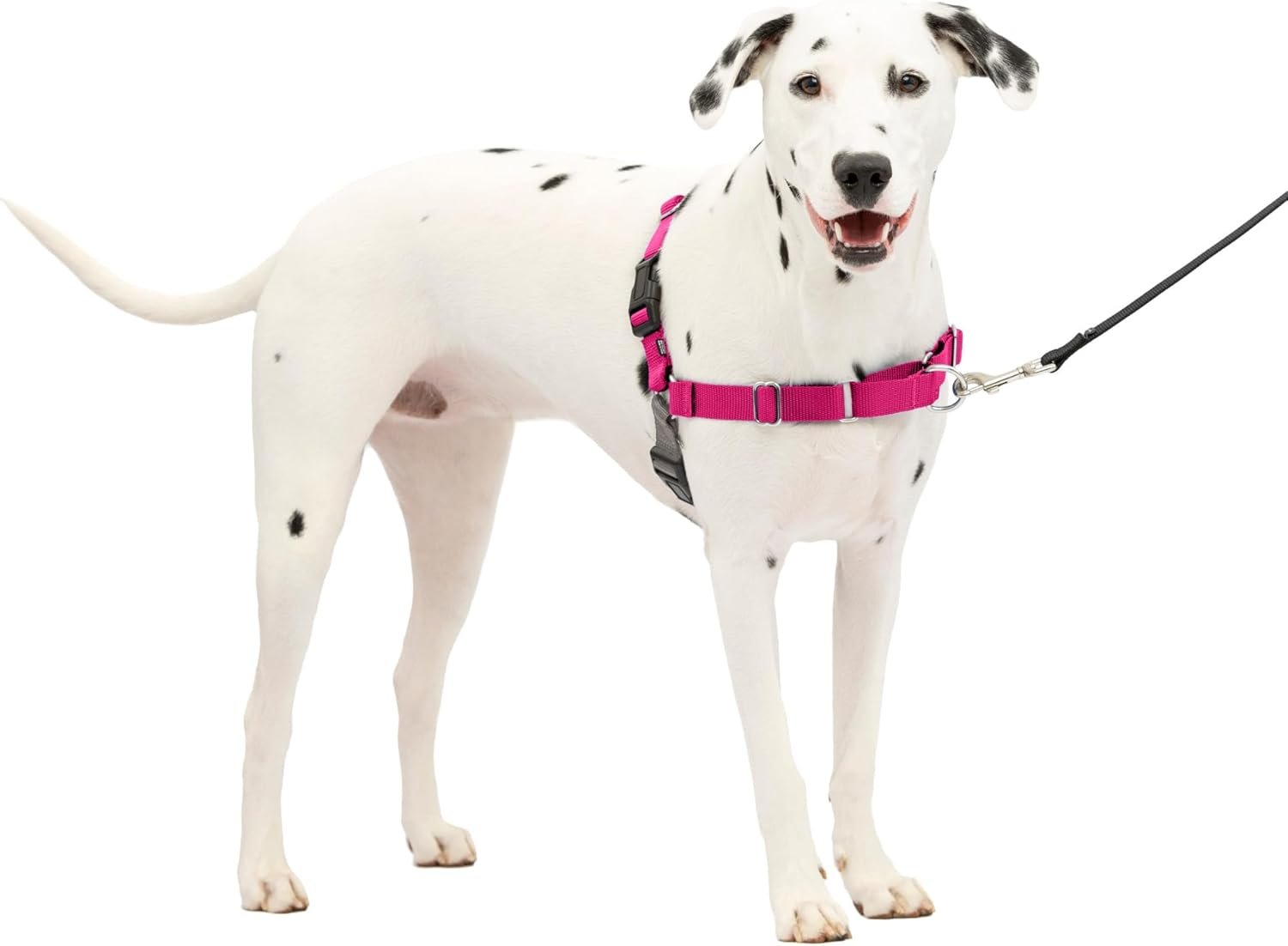 PetSafe Easy Walk No-Pull Dog Harness – The Ultimate Harness to Help Stop Pulling – Take Control & Teach Better Leash Manners – Helps Prevent Pets Pulling on Walks, Medium/Large, Raspberry/Gray