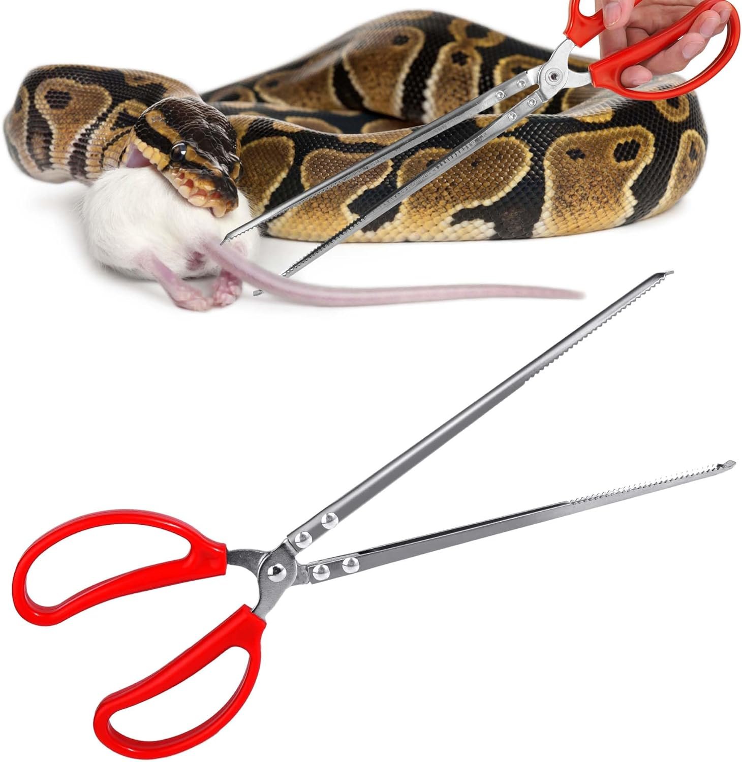 Snake Feeding Tongs,15 Inch Reptile Feeding Tongs,Extra Long Large Tweezers for Corn Ball Python Accessories,Bearded Dragon Tank Accessories,Pet Terrarium Supplies for Leopard Crested Gecko,Lizard