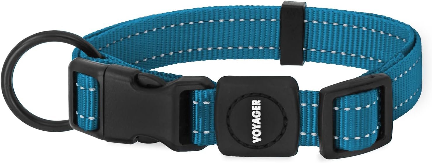 Best Pet Supplies Voyager Reflective Dog Leash or Collar with Neoprene Handle, for Small, Medium, and Large Breed Puppies, Cute and Heavy Duty for Walking, Running and Training – Turquoise, M