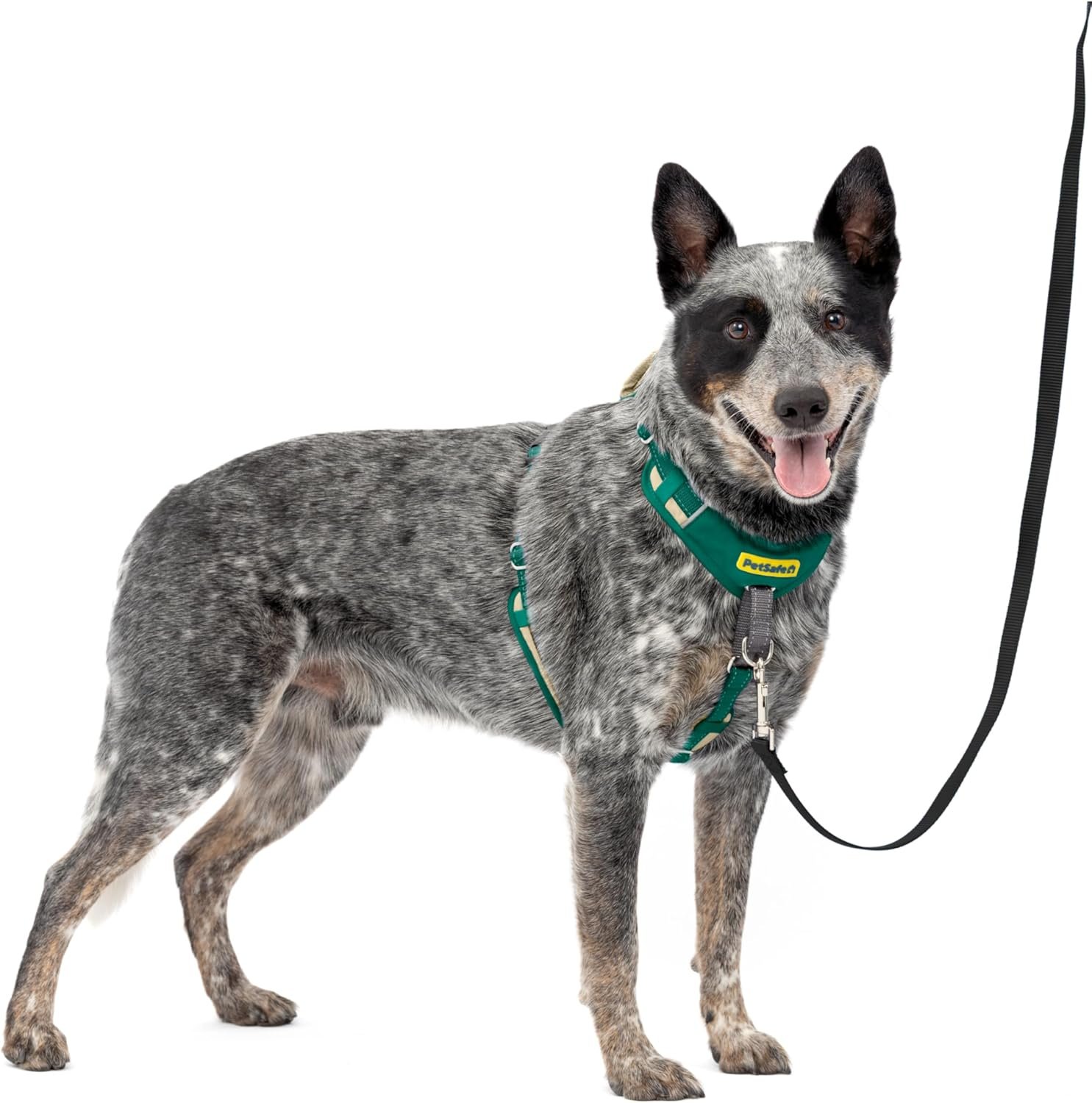 PetSafe Easy Walk Comfort No-Pull Dog Harness – Better Walk Training Harness – Full Body Padded Design – Durable Fabric – 5 Point Adjustable Fit – Everyday Leash Training – Green – Medium/Large