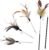 SONGWAY Cat Feather Wand Toy – Cat Teaser Toy Wand with 4 Flexible Spring Feather Refills, Interactive Cat Toys for Indoor Cats Kitten