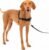 PetSafe Easy Walk Harness for Dogs – Pull-Free Walks – Patented Martingale Loop Design – Front Chest Leash Attachment – Comfort Straps – Breathable Harness Design – Medium, Black/Silver