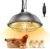 350 Watt Heat Lamp for Chickens – Chtoocy Chicken Coop Heater with Carbon Fiber Bulb, 5.2FT Thickened Power Cord & Chicken Heat Lamp with 2 Temperature Adjustable (175/350W) for Chicks, Ducks and Pets