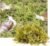 4oz Substrate for Pet Snails, Ideal for Maintain The Humidity Levels in Tank