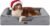 Bedsure Orthopedic Dog Beds Large Sized Dog – Washable Large Dog Cat Bed Waterproof, Comfort Dogs Couch Sofa with Washable Removable Cover, Pet Bed with Nonskid Bottom, Grey, 35″
