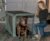 Pet Gear Insta-Fold Soft Crate for Dogs, 42″, Forest