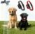 Wireless Dog Fence for 2 Dogs, GPS Dog Collar with 3 Warning Modes, Pet Containment System with Real-time Signal Updates, Electric Dog Fence Collar with Wide Adjustable Range